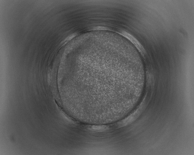 X0000116580857200912241653