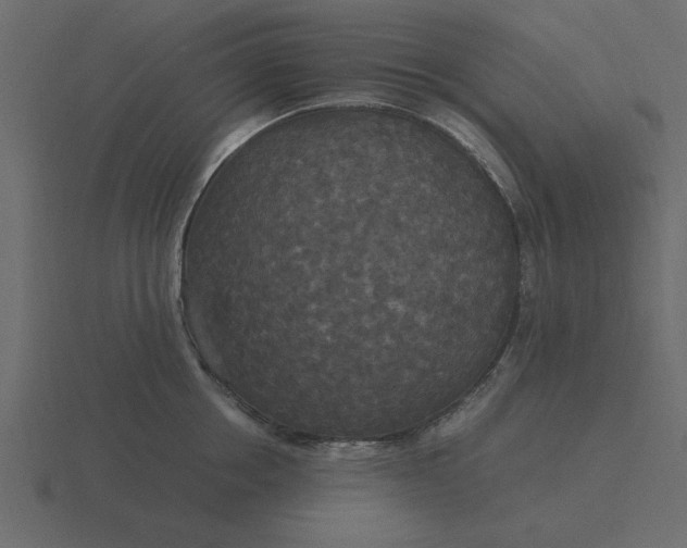 X0000116580858200912241653