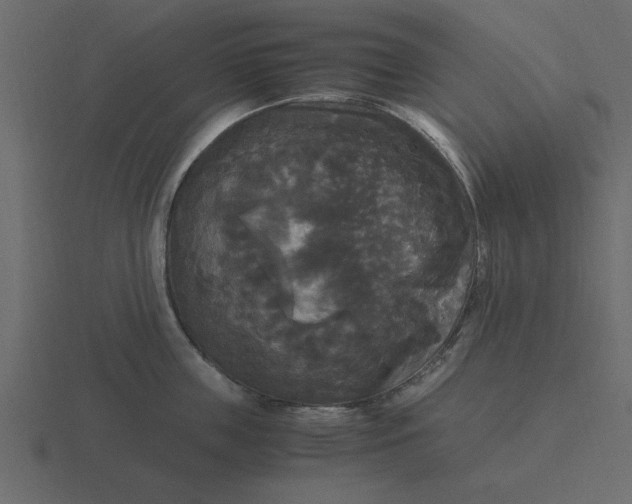 X0000116580859200912241653