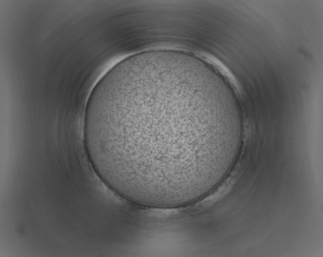 X0000116580860200912241653