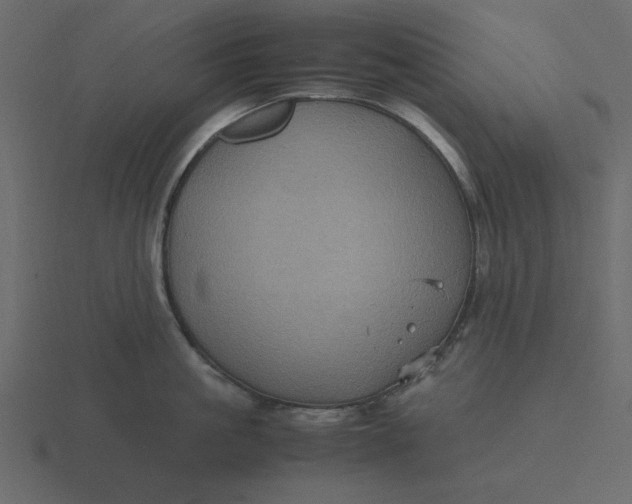 X0000116580861200912241653