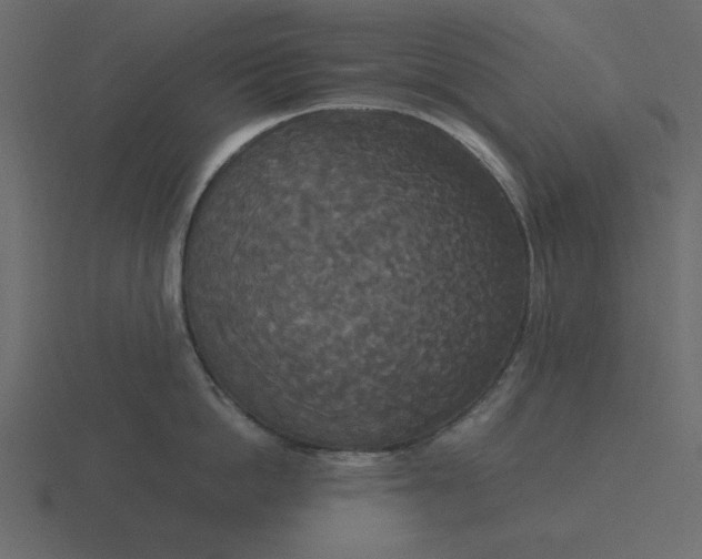 X0000116580862200912241653