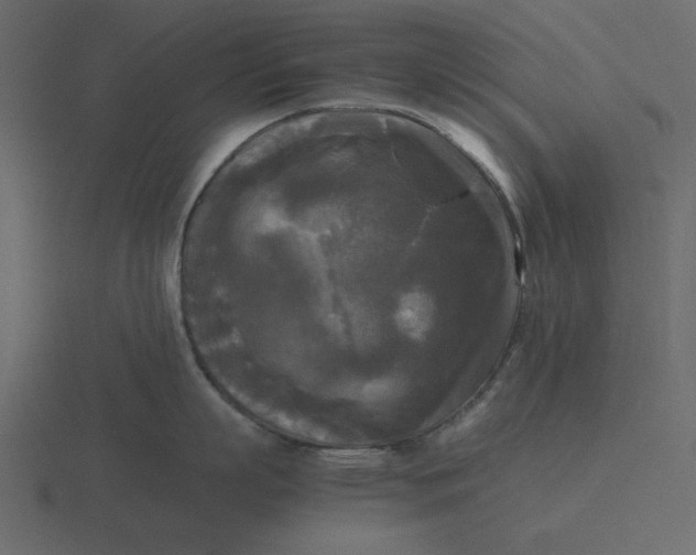 X0000116580863200912241653