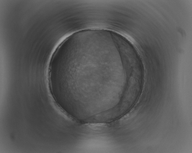 X0000116580864200912241653