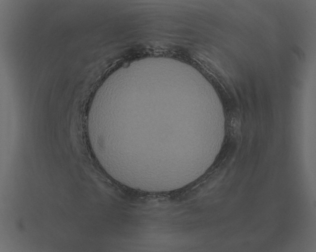 X0000116580865200912241652