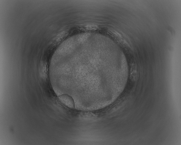 X0000116580866200912241652