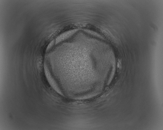 X0000116580867200912241652