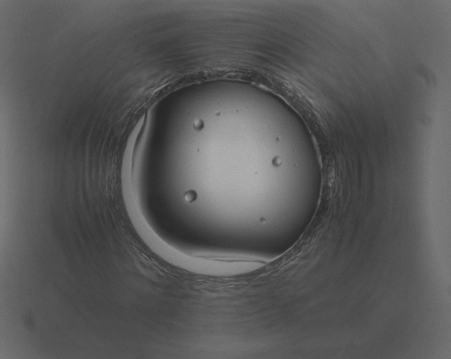 X0000116580868200912241652