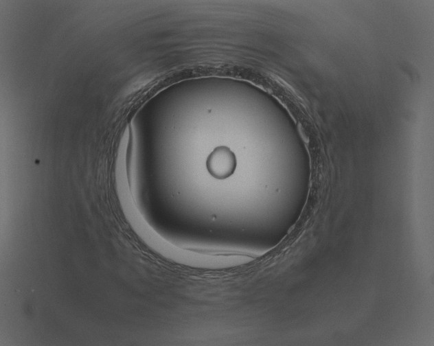 X0000116580869200912241652