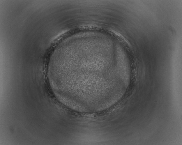 X0000116580870200912241652