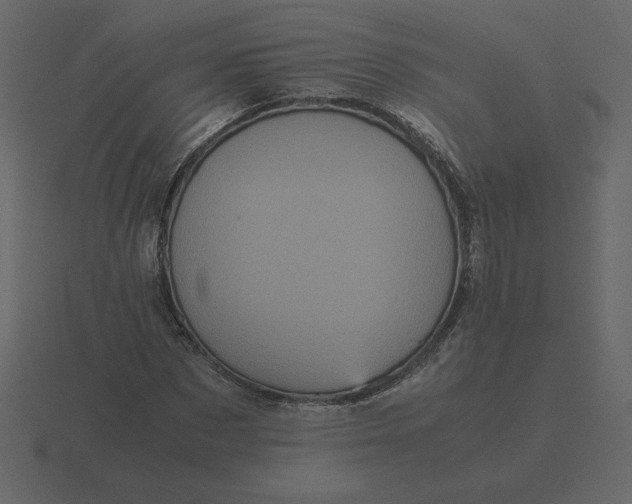 X0000116580873200912241652