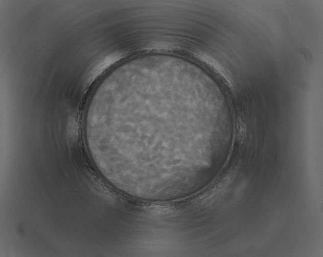 X0000116580874200912241652