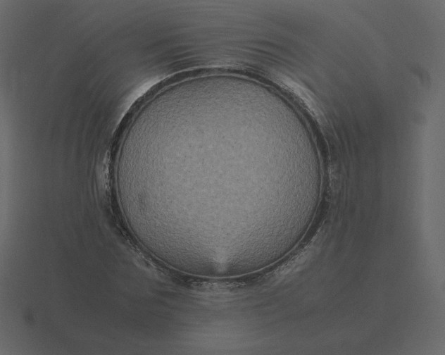 X0000116580875200912241652