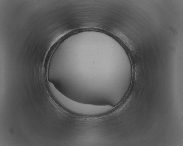 X0000116580876200912241652