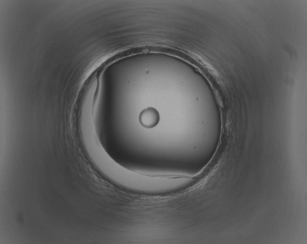 X0000116580877200912241652