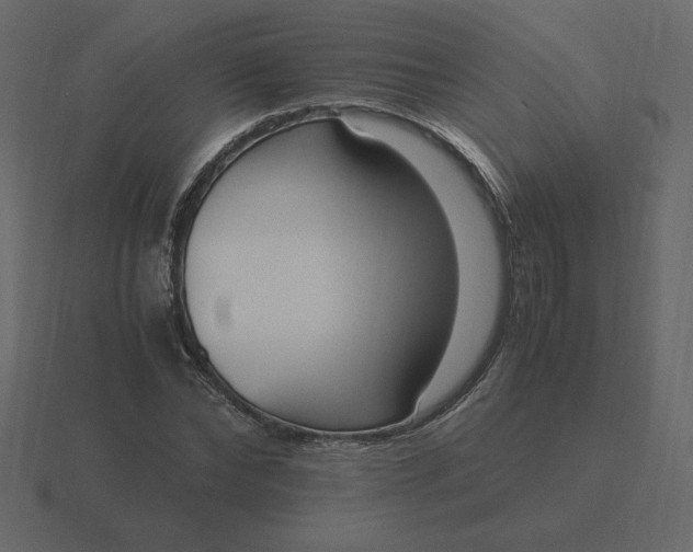 X0000116580878200912241652