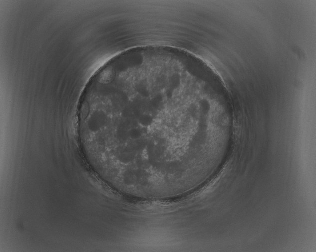 X0000116580879200912241652