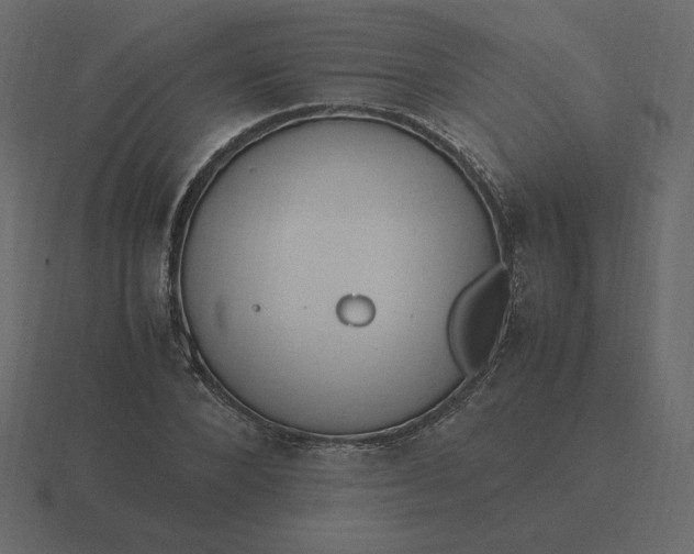 X0000116580880200912241652