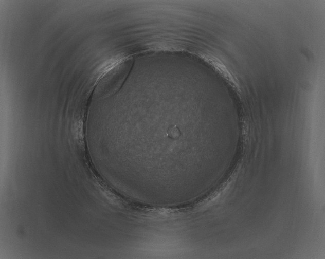 X0000116580881200912241652