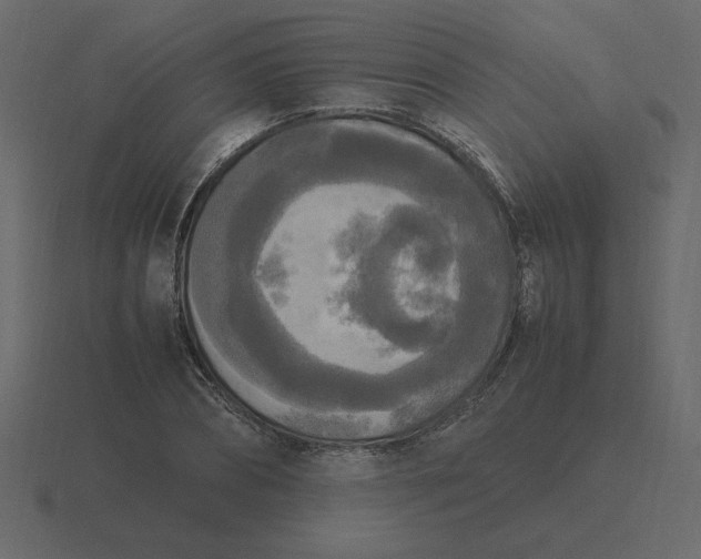 X0000116580882200912241652