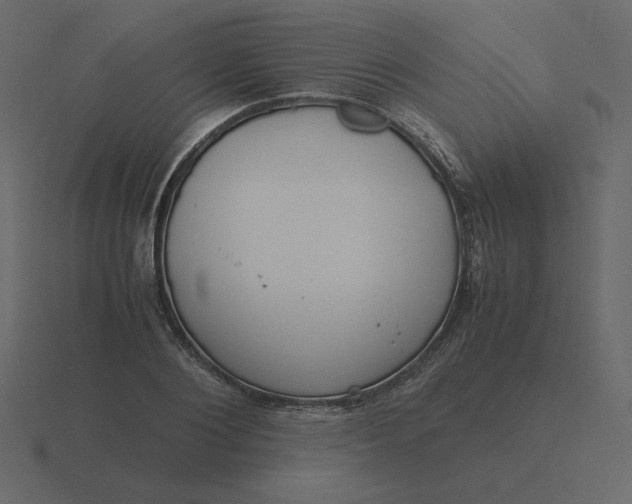 X0000116580884200912241652