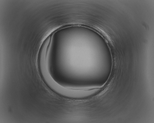 X0000116580885200912241652