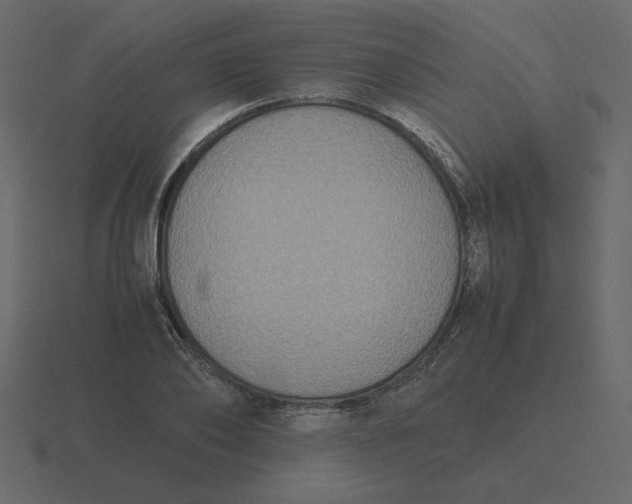 X0000116580886200912241652