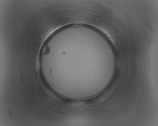 X0000116580887200912241652