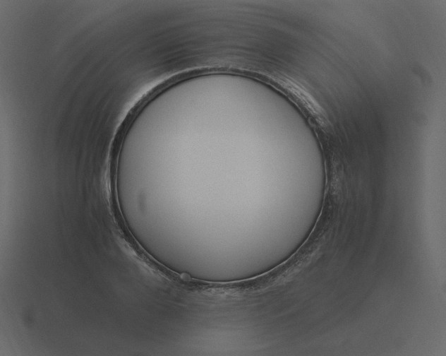 X0000116580888200912241652