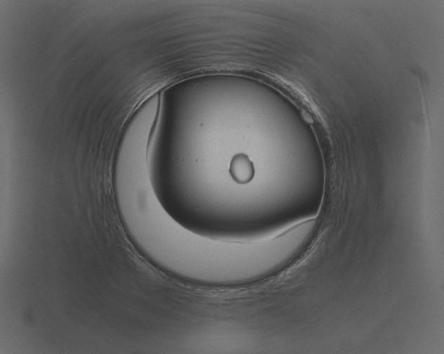 X0000116580889200912241652