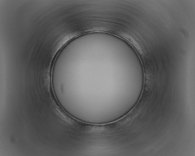 X0000116580890200912241652