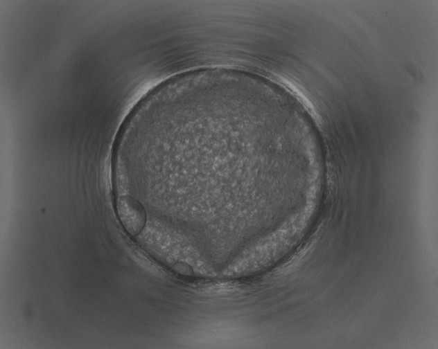 X0000116580891200912241652