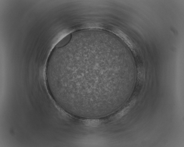 X0000116580893200912241652