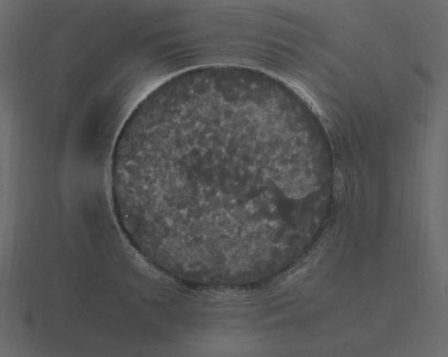 X0000116580895200912241652