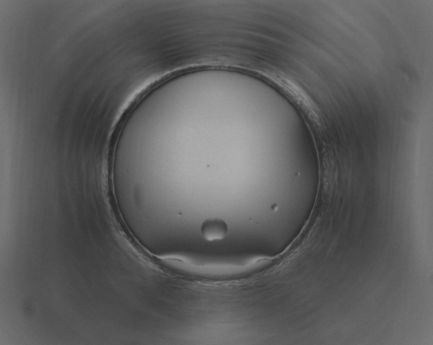 X0000116580896200912241652