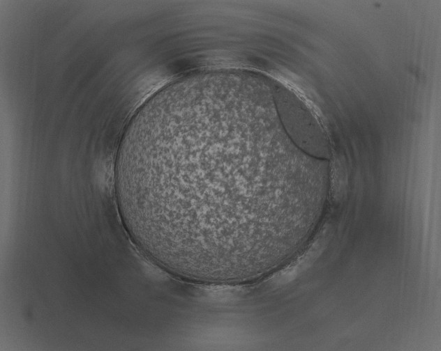 X0000116580897200912241652