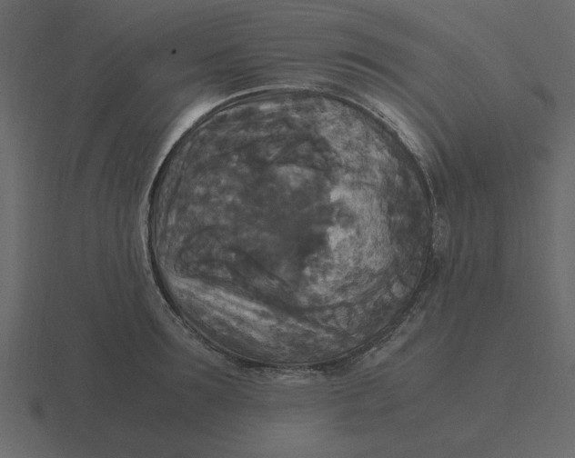 X0000116580899200912241652