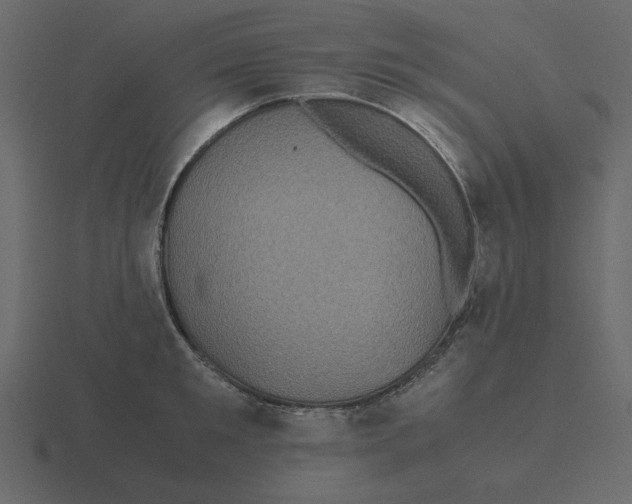 X0000116580901200912241652