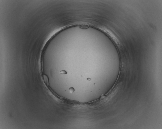 X0000116580902200912241652