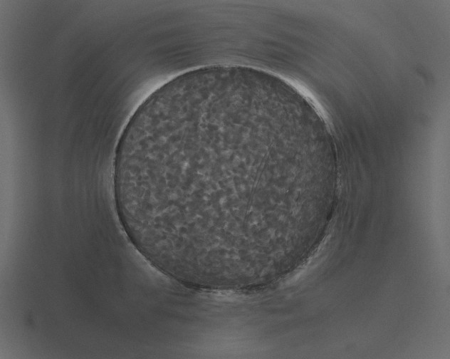 X0000116580903200912241652