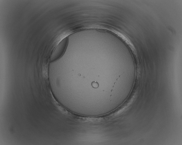 X0000116580905200912241652