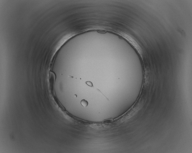 X0000116580906200912241652