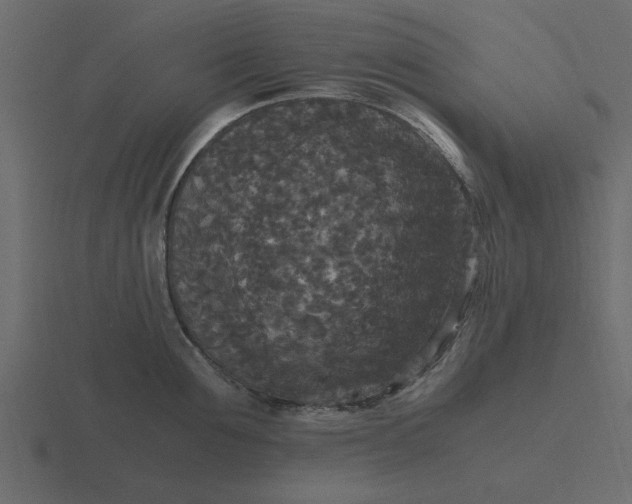 X0000116580907200912241652