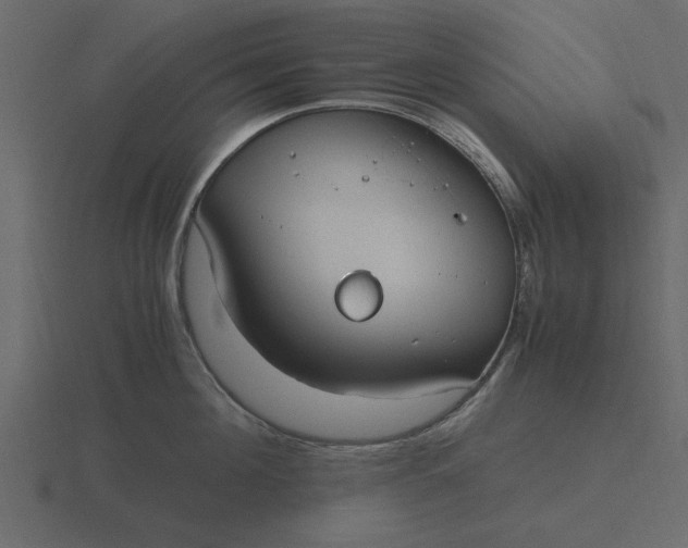 X0000116580908200912241652