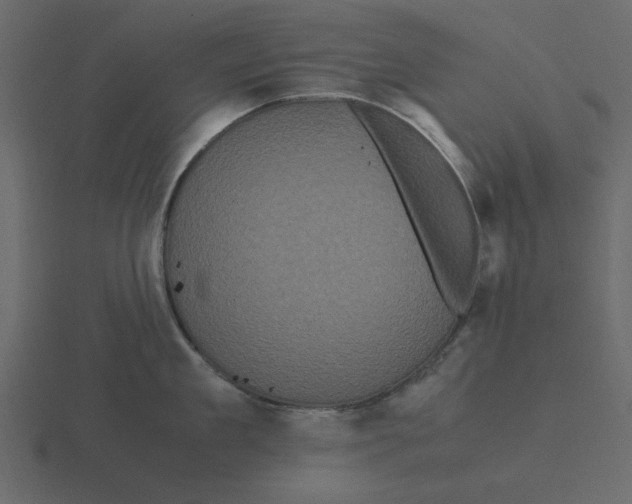 X0000116580909200912241652