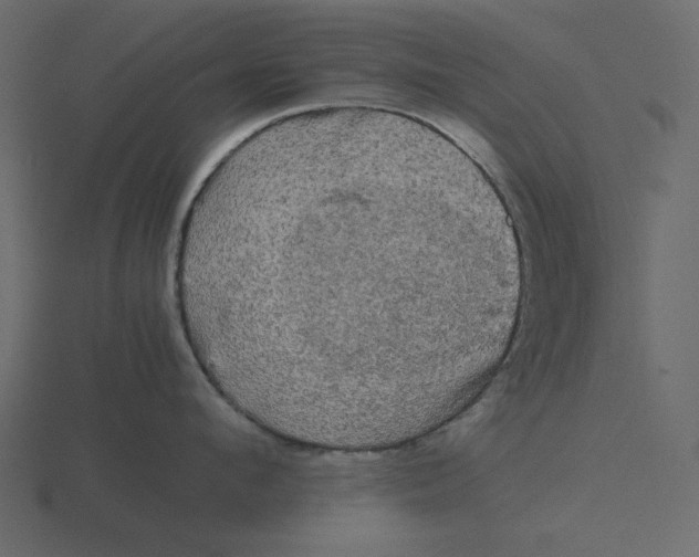 X0000116580912200912241652