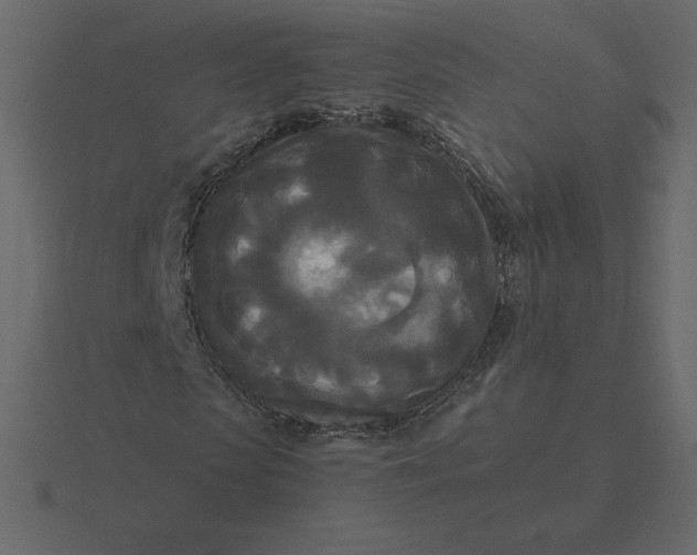 X0000116580913200912241651