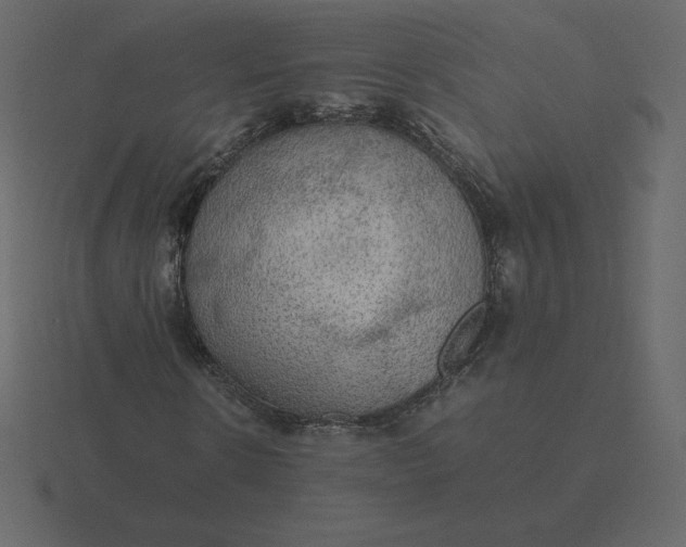 X0000116580914200912241651