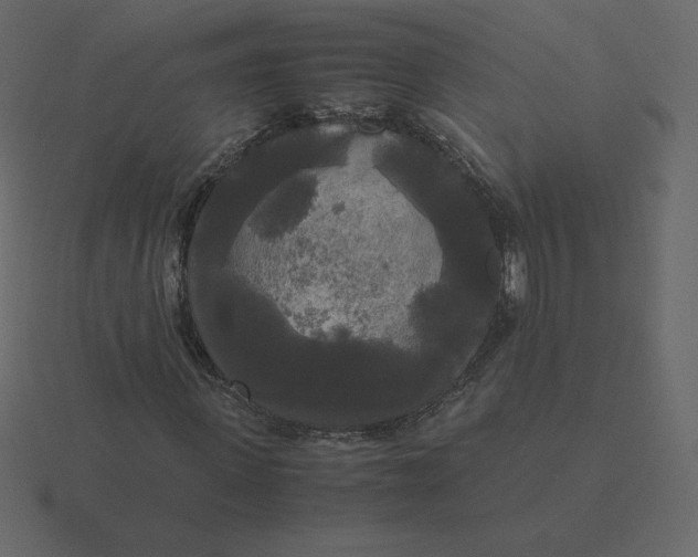 X0000116580915200912241651