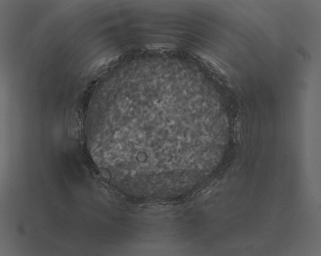 X0000116580917200912241651